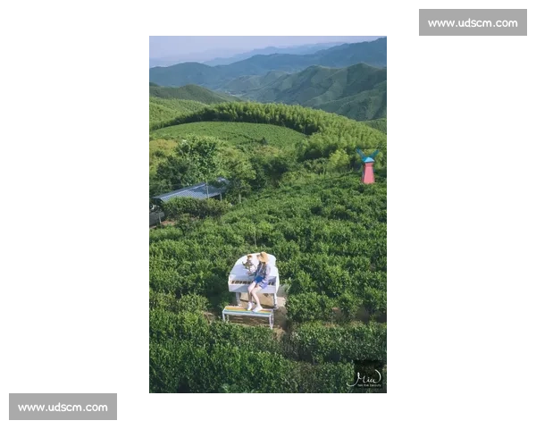 1200 人赴松阳之约：在江南秘境中定向穿行