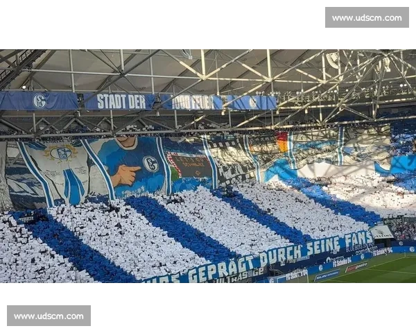 五连胜紧咬榜首！沙尔克 04 重返德甲？穆斯利奇的逆袭之路